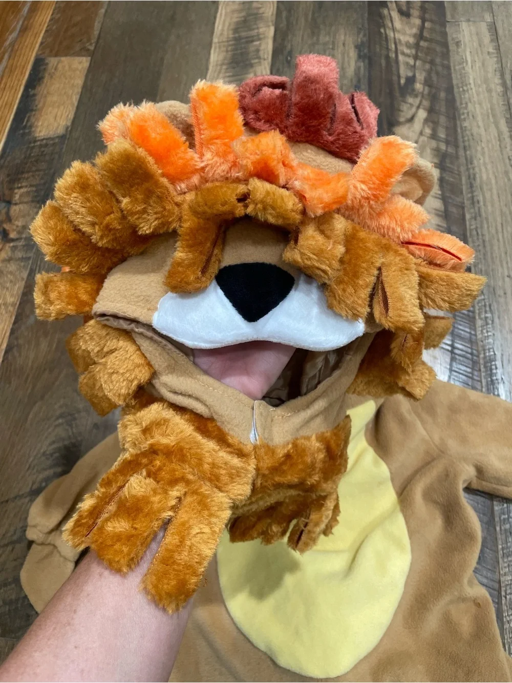 Spooktacular Twins Baby Lions Halloween costumes 12-18 mo